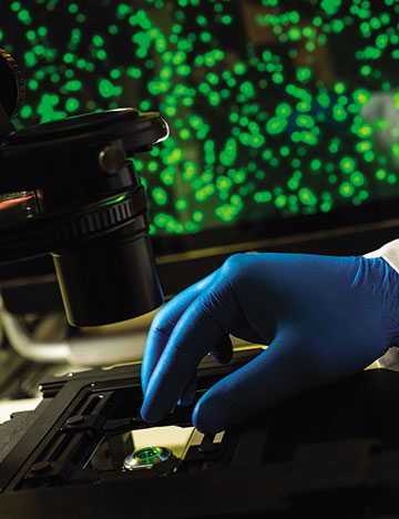 Zytronic 采用康宁®大猩猩®(Corning® Gorilla®)抗菌玻璃 解决公共触摸屏的表面污染问题