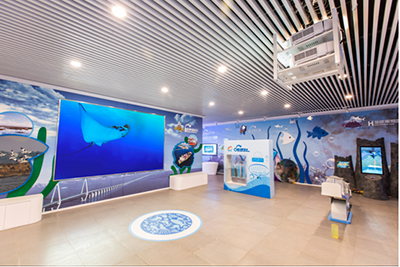 怎样为专业展馆选择完美的画面显示硬件？