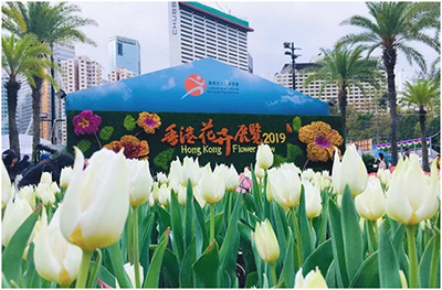 2019香港花卉展览,ALLEN&HEATH、Community万花争艳