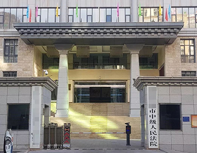 一带一路,智慧法院——长图助力西藏某市中级人民法院获点赞