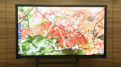 NETRIX带你玩转办公室圣诞趴!