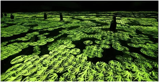 周末来爱普生免费学习制作创意三维互动投影！