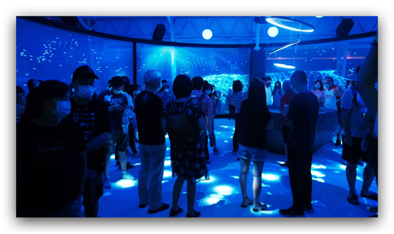 奥图码(Optoma)斩获三项美国缪思创意国际大奖