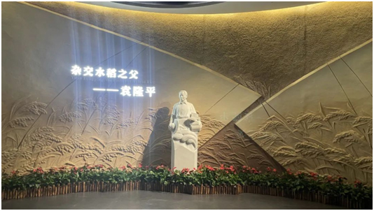 建业显仕携手丽讯VIVITEK助力首个水稻主题博物馆【隆平水稻博物馆】